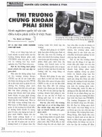 Thị trường chứng khoáng phái sinh 
