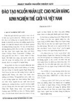 Đào tạo nguồn nhân lực cho ngân hàng   kinh nghiệm thế giới và việt nam 