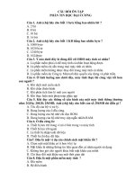 Câu hỏi ôn tập tin học đại cương