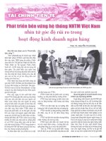 Phát triển bền vững hệ thống NHTM việt nam nhìn từ góc độ rủi ro trong hoạt động kinh doanh ngân hàng 