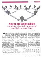 Mua và bán doanh nghiệp một hướng cấu trúc lại quan trọng trong lĩnh vực ngân hàng 