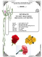 Nhận biết hoa hồng hoa cúc hoa cam trong nhà trẻ 25 - 36 tháng tuổi