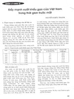 Đẩy mạnh xuất khẩu gạo của việt nam trong thời gian trước mắt 