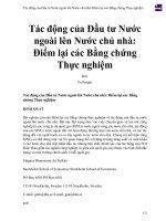 Tác động của đầu tư nước ngoài lên nước chủ nhà  điểm lại các bằng chứng thực nghiệm 