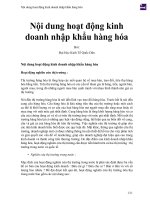 Nội dung hoạt động kinh doanh nhập khẩu hàng hóa 
