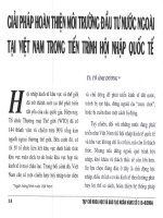 Giải pháp hoàn thiện môi trường đầu tư nước ngoài tại việt nam trong tiến trình hội nhập quốc tế 