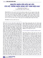 Nguyên nhân dẫn đến nợ xấu của hệ thống ngân hàng việt nam hiện nay 