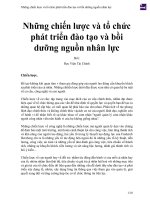 Những chiến lược và tổ chức phát triển đào tạo và bồi dưỡng nguồn nhân lực 