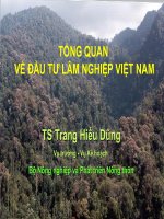 Tổng quan về đầu tư lâm nghiệp việt nam