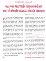 Giải pháp phát triển tín dụng đối với kinh tế tư nhân của các tổ chức tín dụng 
