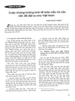 Cuộc khủng hoảng kinh tế toàn cầu và các vấn đề đặt ra cho việt nam 