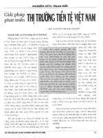 Giải pháp phát triển thị trường tiền tệ việt nam 