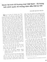 Quan hệ kinh tế thương mại việt nam   EU trong bối cảnh quốc tế những năm đầu thế kỷ XXI 