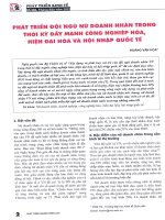 Phát triển đội ngũ nữ doanh nhân trong thời kỳ đẩy mạnh công nghiệp hóa, hiện đại hóa và hội nhập quốc tế 