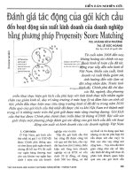 Đánh giá tác động của gói kích cầu đến hoạt động sản xuất kinh doanh của doanh nghiệp bằng phương pháp propensity score matching 