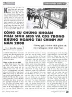 Công cụ chứng khoán phái sinh MBS và CDS trong khủng hoảng tài chính mỹ năm 2008   những gợi ý chính sách giám sát thị trường tài chính việt nam 