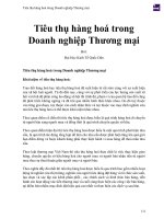 Tiêu thụ hàng hoá trong doanh nghiệp thương mại 