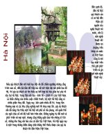 Thắng cảnh việt nam 