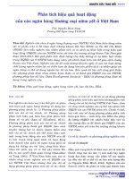 Phân tích hiệu quả hoạt động của các ngân hàng thương mại niêm yết ở việt nam 