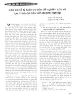 Các cơ sở lý luận cơ bản để nghiên cứu và lựa chọn cơ cấu vốn doanh nghiệp 