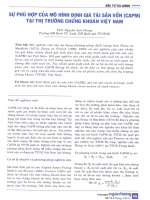 Sự phù hợp của mô hình định giá tài sản vốn (CAPM) tại thị trường chứng khoán việt nam 