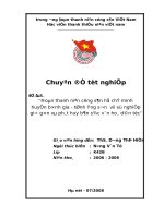 Đoàn TNCS hồ chí minh  bình gia   tỉnh lạng sơn với sự nghiệp giữ gìn và phát huy bản sắc văn hoá dân tộc 