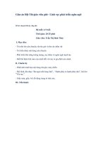 Giáo án hội thi giáo viên giỏi phát triển ngôn ngữ cho trẻ câu truyện khi mẹ vắng nhà