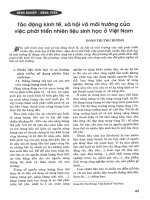 Tác động kinh tế, xã hội và môi trường của việc phát triển nhiên liệu sinh học ở việt nam 