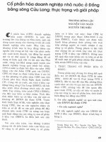 Cổ phần hóa doanh nghiệp nhà nước ở đồng bằng sông cửu long thực trạng và giải pháp 