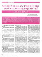 Mô hình quản trị rủi ro doanh nghiệp quốc tế tại việt nam 