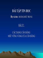 Các dạng cân bằng  mức vững vàng của cân bằng