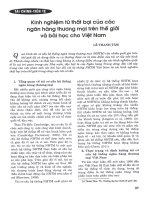 Kinh nghiệm từ thất bại của các ngân hàng thương mại trên thế giới và bài học cho việt nam 