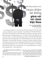 Hoàn thiện hệ thống giám sát tài chính việt nam 