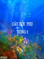 Hội thi   tuổi thơ thông minh  (câu hỏi phụ phần 2) 