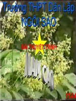 Giới thiệu tác giả nam cao