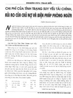 Chi phí của tình trạng suy yếu tài chính, rủi ro của chủ nợ và biện pháp phòng ngừa 