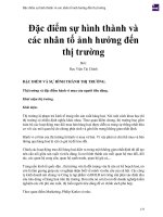 Đặc điểm sự hình thành và các nhân tố ảnh hưởng đến thị trường 