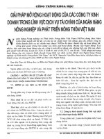 Giải pháp mở rộng hoạt động của các công ty kinh doanh trong lĩnh vực dịch vụ tài chính của ngân hàng nông nghiệp và phát triển nông thôn việt nam 