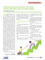 Phân chia rủi ro và lợi ích tài chính trong hợp đồng hợp tác kinh doanh 