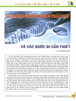 Giao dịch chứng khoán phái sinh   nhu cầu thị trường và các bước đi cần thiết 