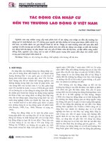 Tác động của nhập cư đến thị trường lao động ở việt nam 
