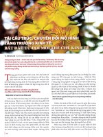 Tái cấu trúc, chuyển đổi mô hình tăng trưởng kinh tế bắt đầu từ đổi mới thể chế kinh tế 