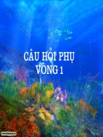 Hội thi   tuổi thơ thông minh  (câu hỏi phụ phần 1) 