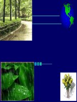 Tiết 6  môi trường nhiệt đới gió mùa