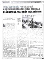 Từng bước khắc phục hậu quả của khủng hoảng tài chính toàn cầu để ổn định và phát triển TTCK việt nam 