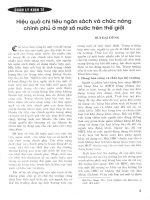 Hiệu quả chi tiêu ngân sách và chức năng chính phủ ở một sồ nước trên thế giới 