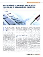 Nguyên nhân các doanh nghiệp gian lận số liệu trên báo cáo tài chính nghiên cứu tại việt nam 