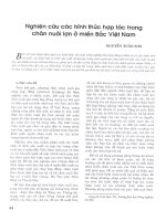 Nghiên cứu các hình thức hợp tác trong chăn nuôi lợn ở miền bắc việt nam 