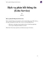 Dịch vụ phản hồi thông tin (echo service) 