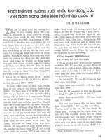 Phát triển thị trường xuất khẩu lao động của việt nam trong điều kiện hội nhập quốc tế 